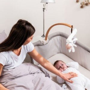 Picci-Dili-Best-Culla-Co-Sleeping-YouMe-Evolution-_00